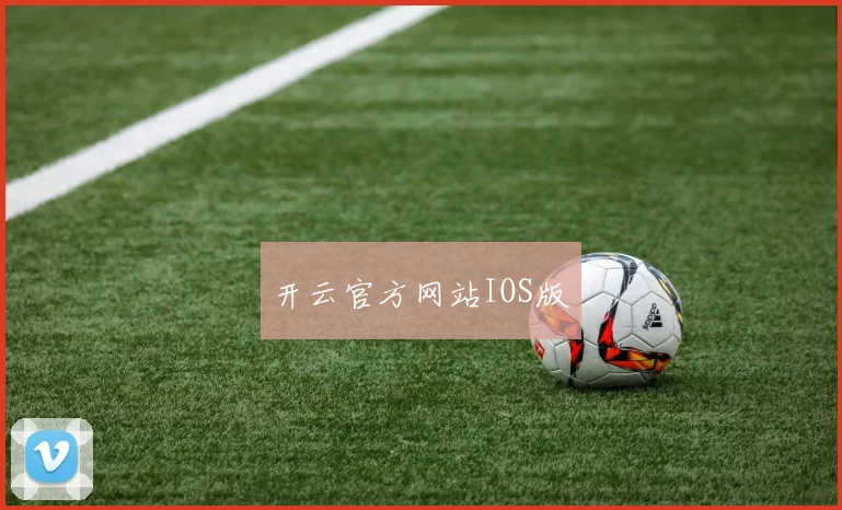 开云官方网站IOS版