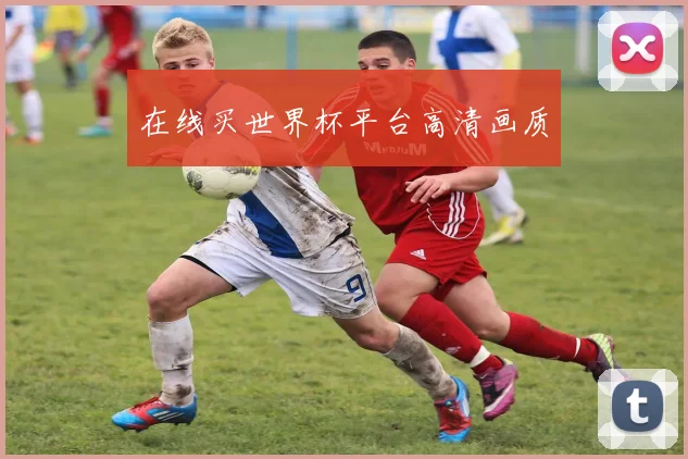 在线买世界杯平台高清画质