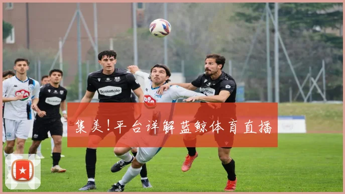 集美!平台详解蓝鲸体育直播