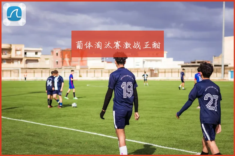 葡体淘汰赛激战正酣