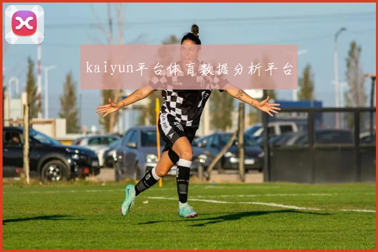 kaiyun平台体育数据分析平台