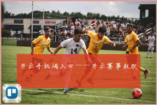 开云手机端入口——开云赛事狂欢