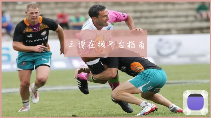云博在线平台指南