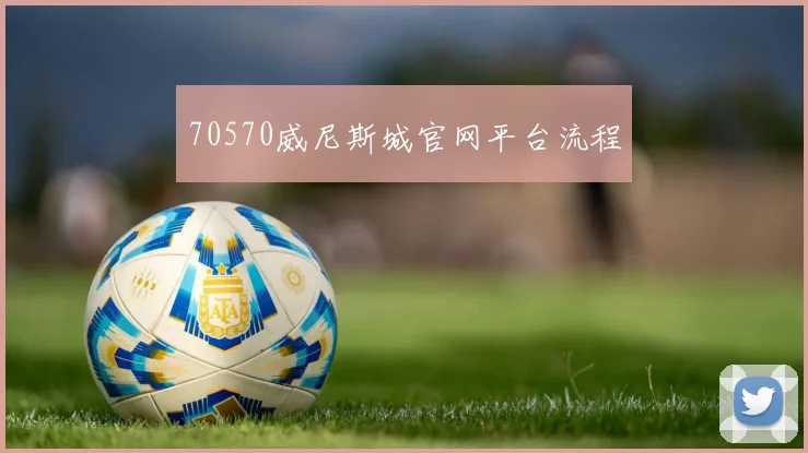 70570威尼斯城官网平台流程