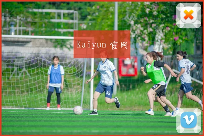 Kaiyun 官网