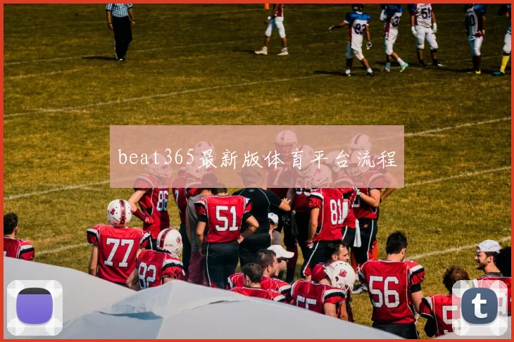 beat365最新版体育平台流程