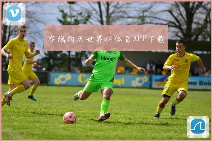 在线购买世界杯体育APP下载