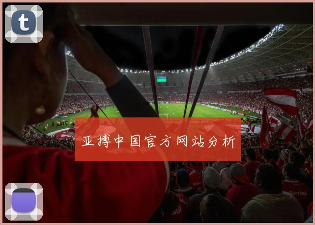 亚搏中国官方网站分析