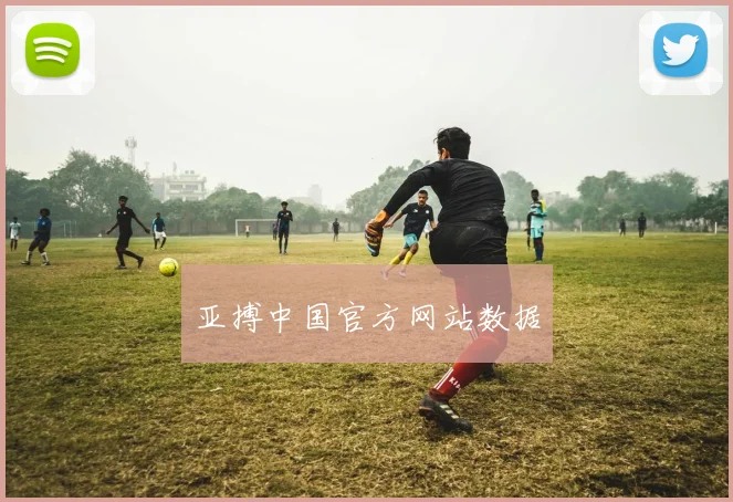 亚搏中国官方网站数据