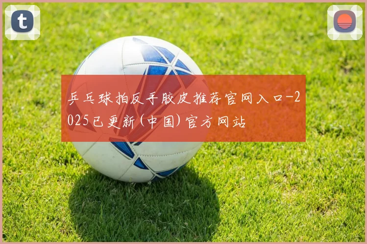 乒乓球拍反手胶皮推荐官网入口-2025已更新(中国)官方网站