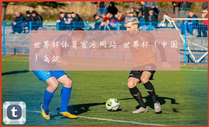 世界杯体育官方网站_世界杯（中国）高效