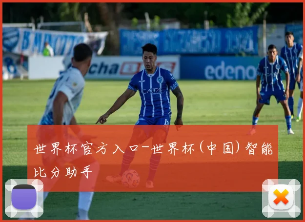 世界杯官方入口-世界杯(中国)智能比分助手