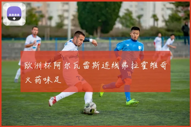 欧洲杯阿尔瓦雷斯连线弗拉霍维奇火药味足