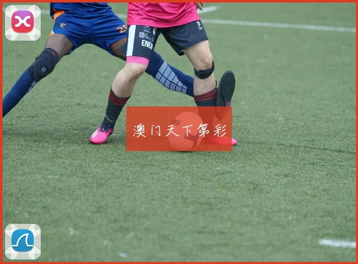 澳门天下第彩