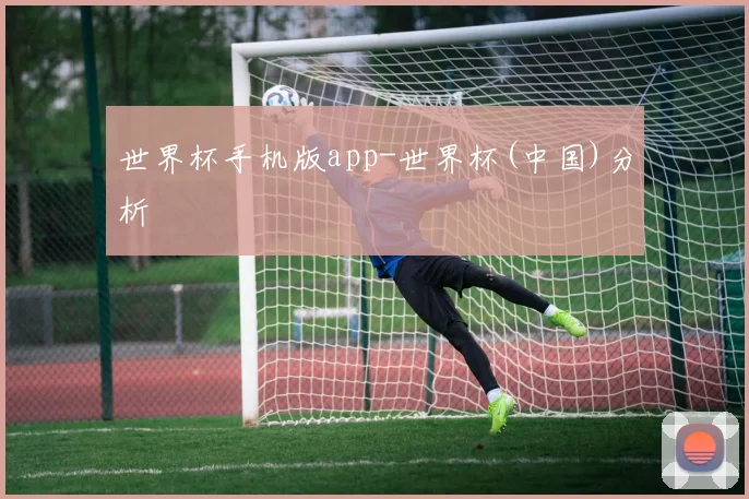 世界杯手机版app-世界杯(中国)分析