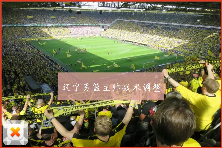 辽宁男篮主帅战术调整