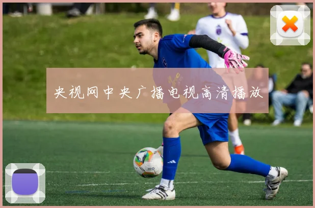 央视网中央广播电视高清播放