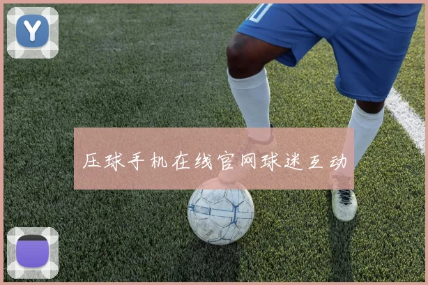 压球手机在线官网球迷互动