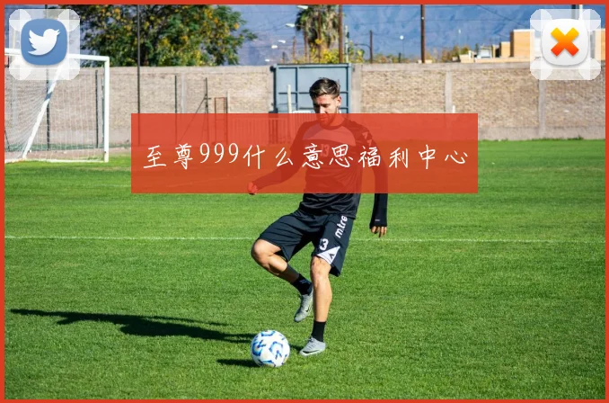 至尊999什么意思福利中心