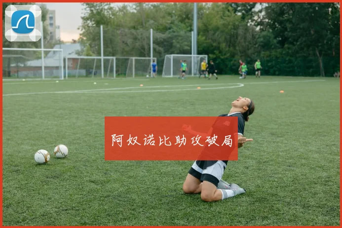 阿奴诺比助攻破局