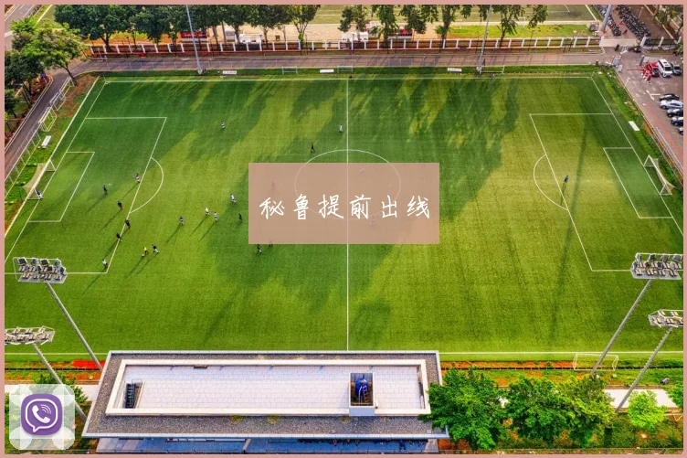 秘鲁提前出线