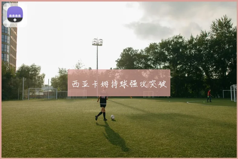 西亚卡姆持球强攻突破