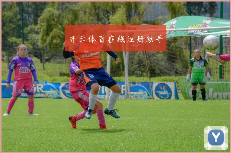 开云体育在线注册助手