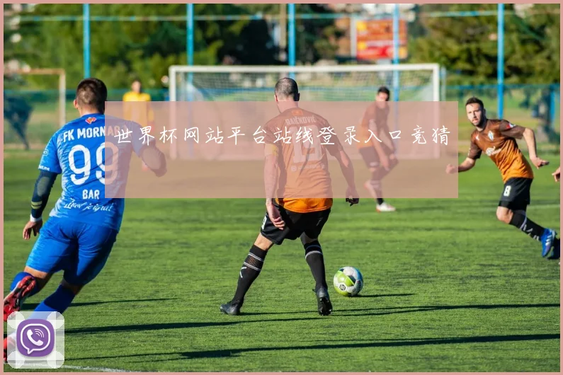世界杯网站平台站线登录入口竞猜