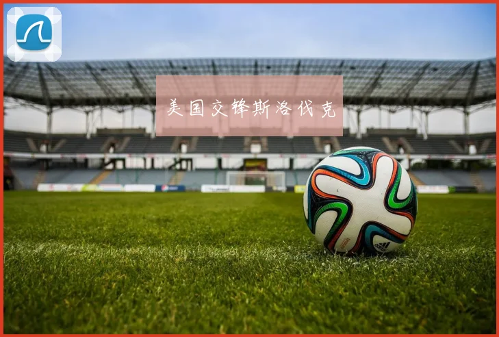 美国交锋斯洛伐克