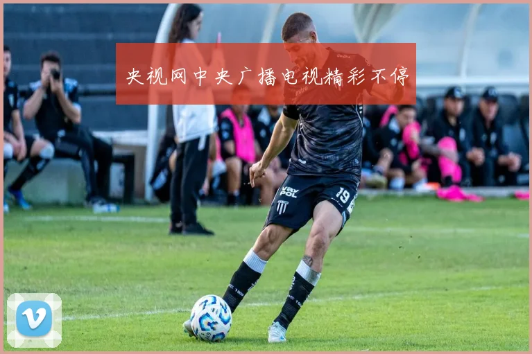 央视网中央广播电视精彩不停