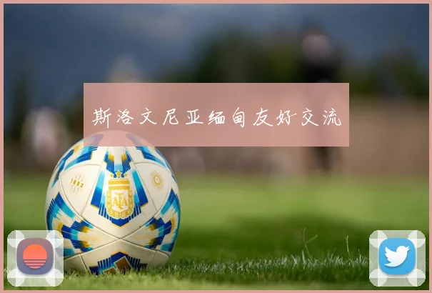 斯洛文尼亚缅甸友好交流