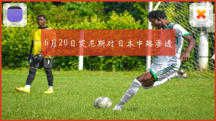 6月20日突尼斯对日本中路渗透