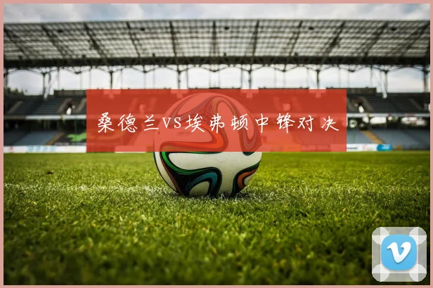 桑德兰vs埃弗顿中锋对决