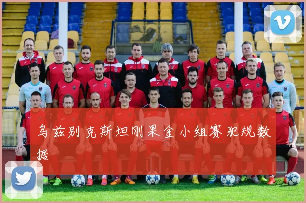 乌兹别克斯坦刚果金小组赛犯规数据