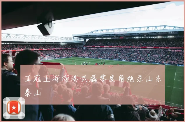 亚冠上海海港武磊零度角绝杀山东泰山