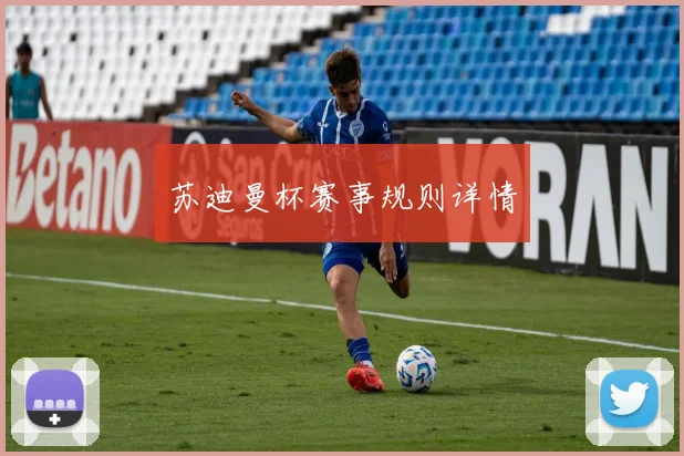 苏迪曼杯赛事规则详情