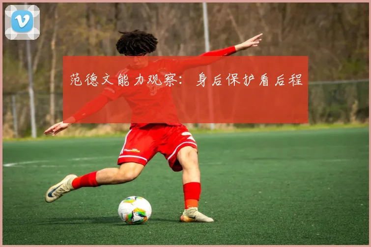 范德文能力观察：身后保护看后程
